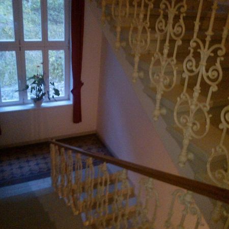 Pension Villa Anita Mariánské Lázně Kültér fotó